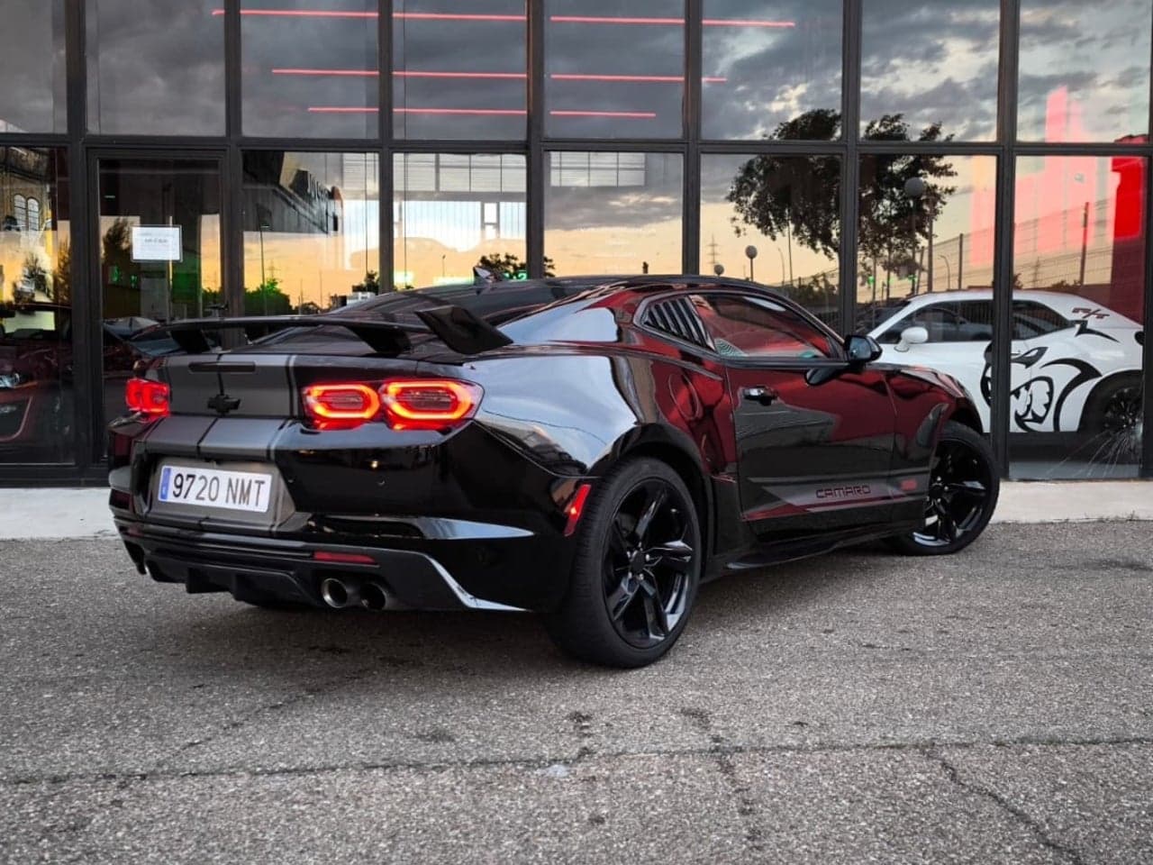 Miniatura 7