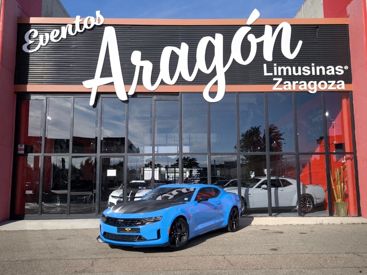 Miniatura 22