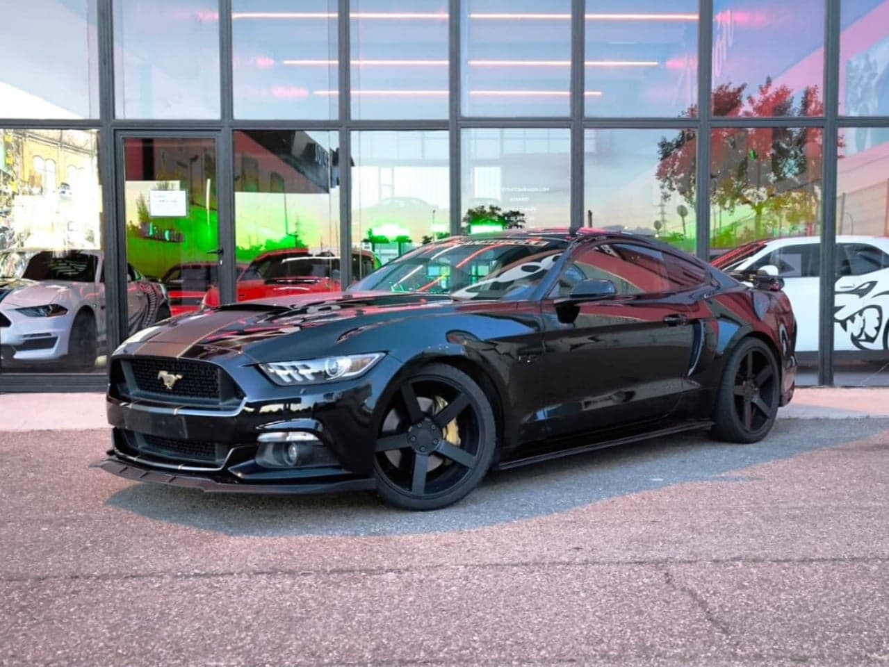 Miniatura 18