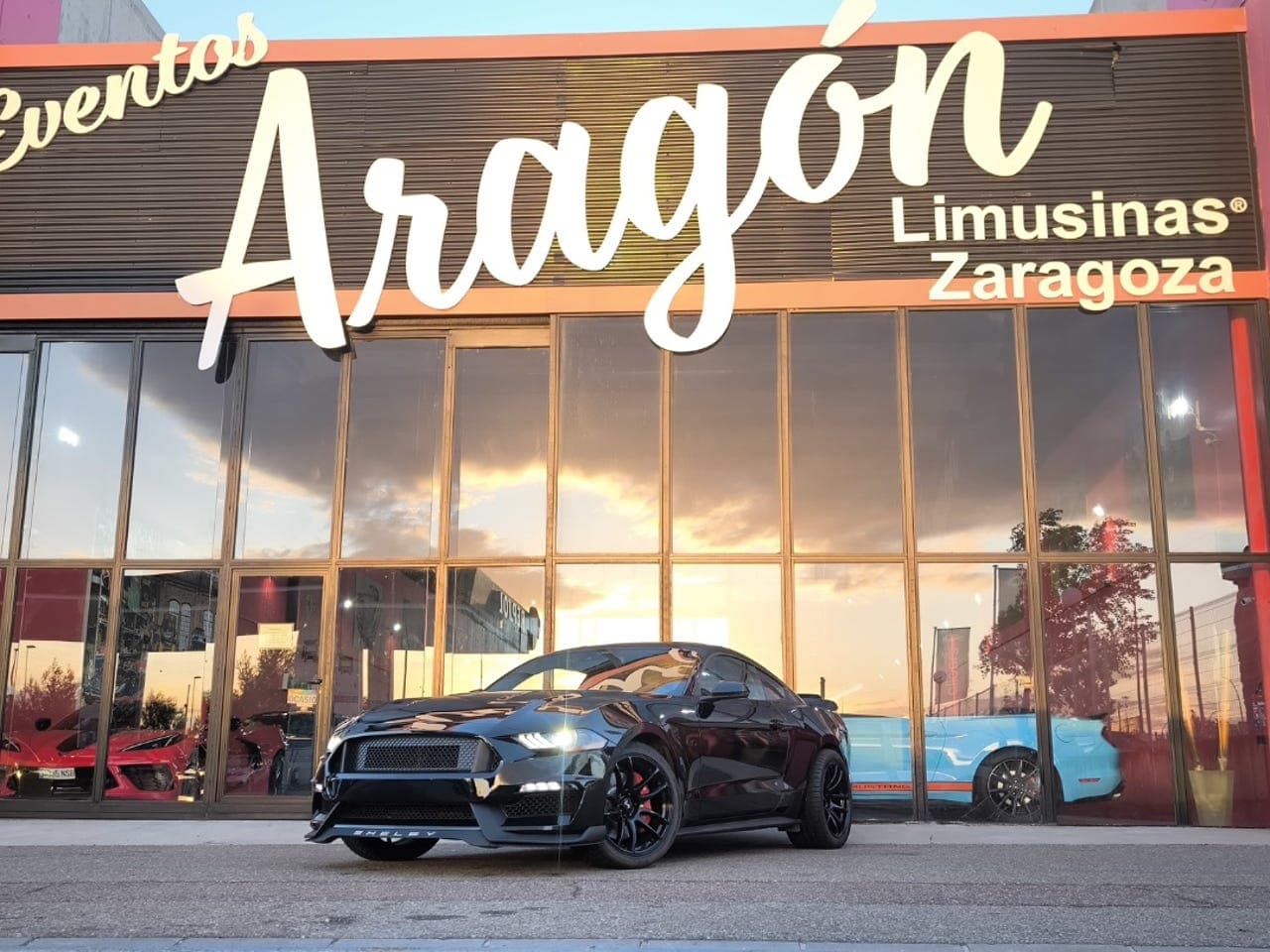 Miniatura 11