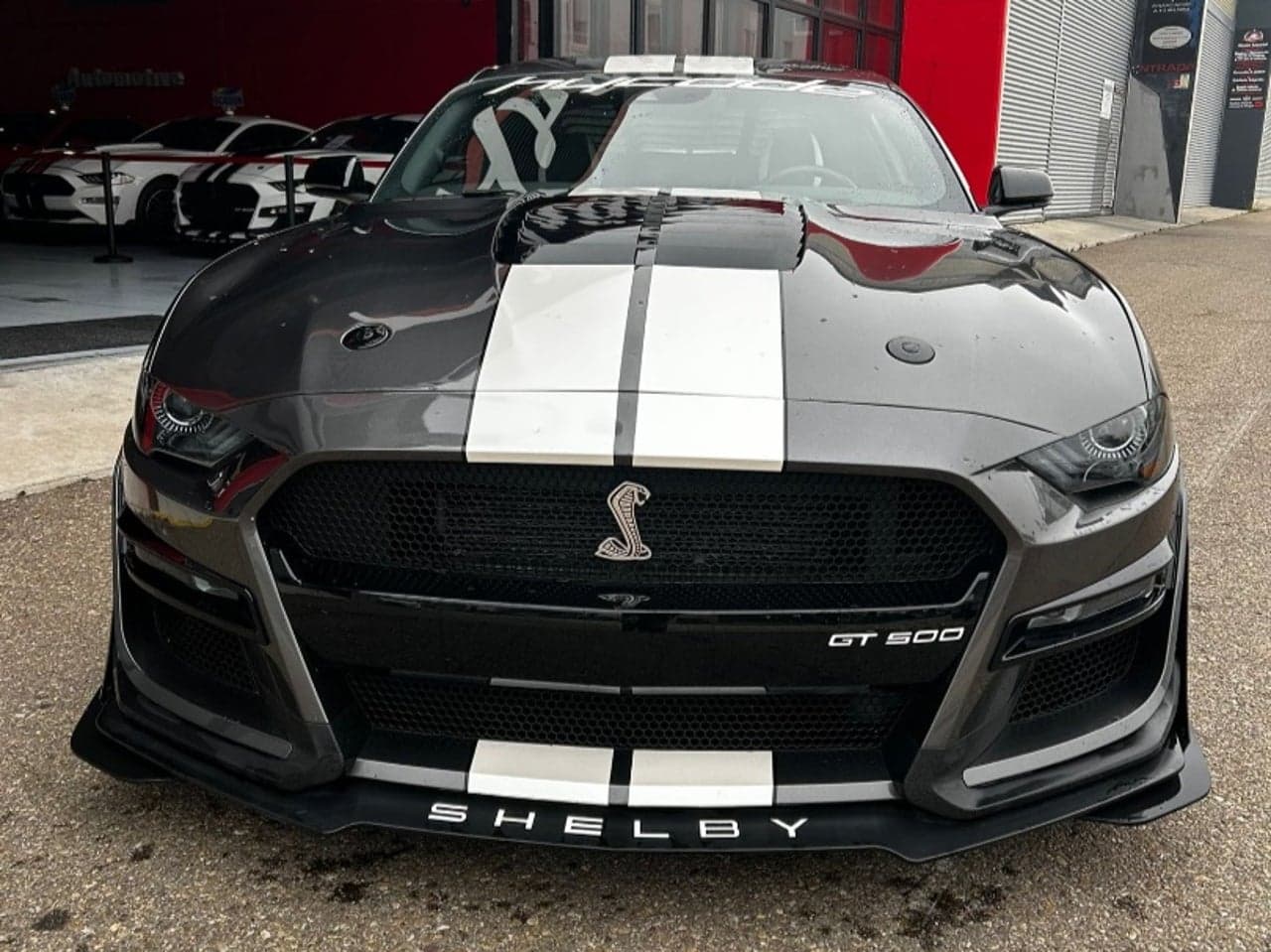 FORD Mustang 5.0 TiVCT V8 331kW Mustang GT Fastb.