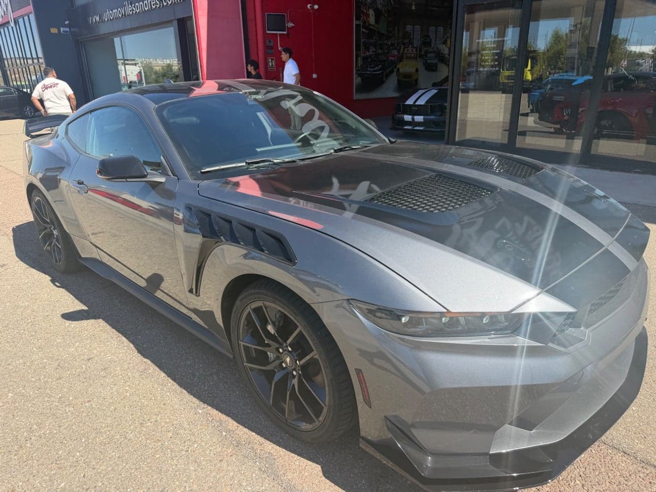 Miniatura 6